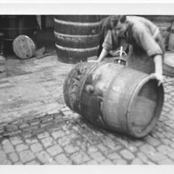 Weinlese-Weinernte-Weinfass-Saale