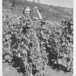 Weinlese-Weinernte-Mädchen-Saalhäuser-Saale